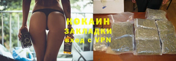 бошки Бородино