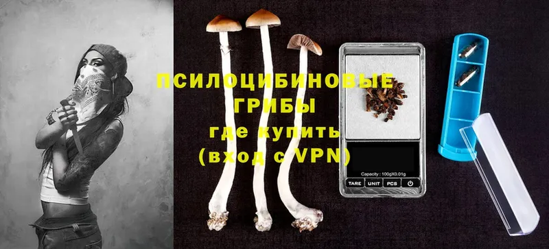 Псилоцибиновые грибы MAGIC MUSHROOMS Тверь