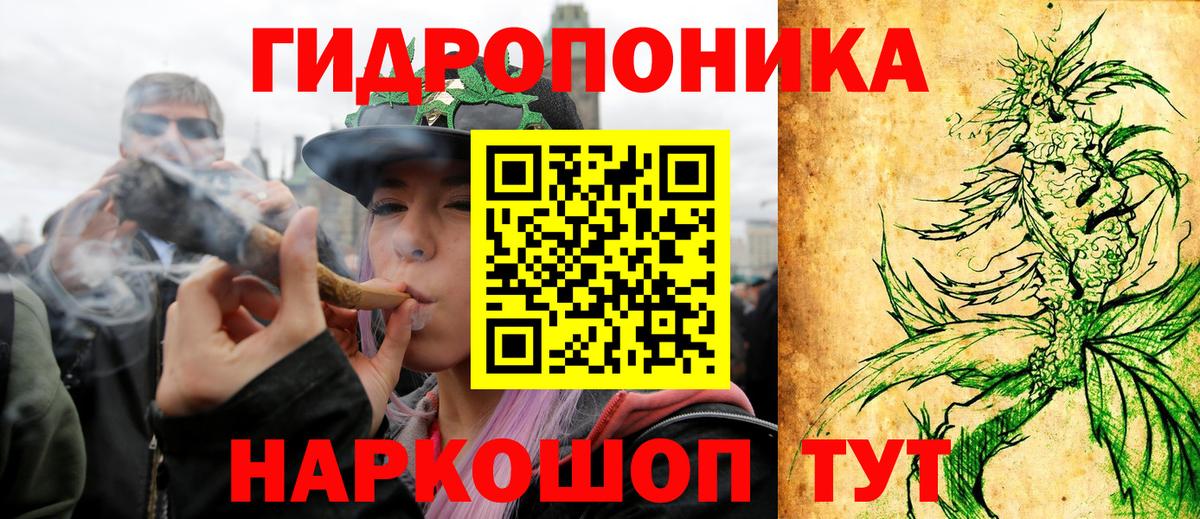 Каннабис индика Тверь