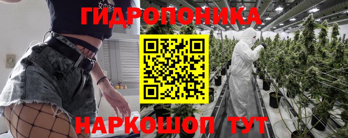 Шишки марихуана сатива  Вход с VPN  Каннабис Bruce Banner  Марихуана VHQ  Тверь  Конопля Amnesia 